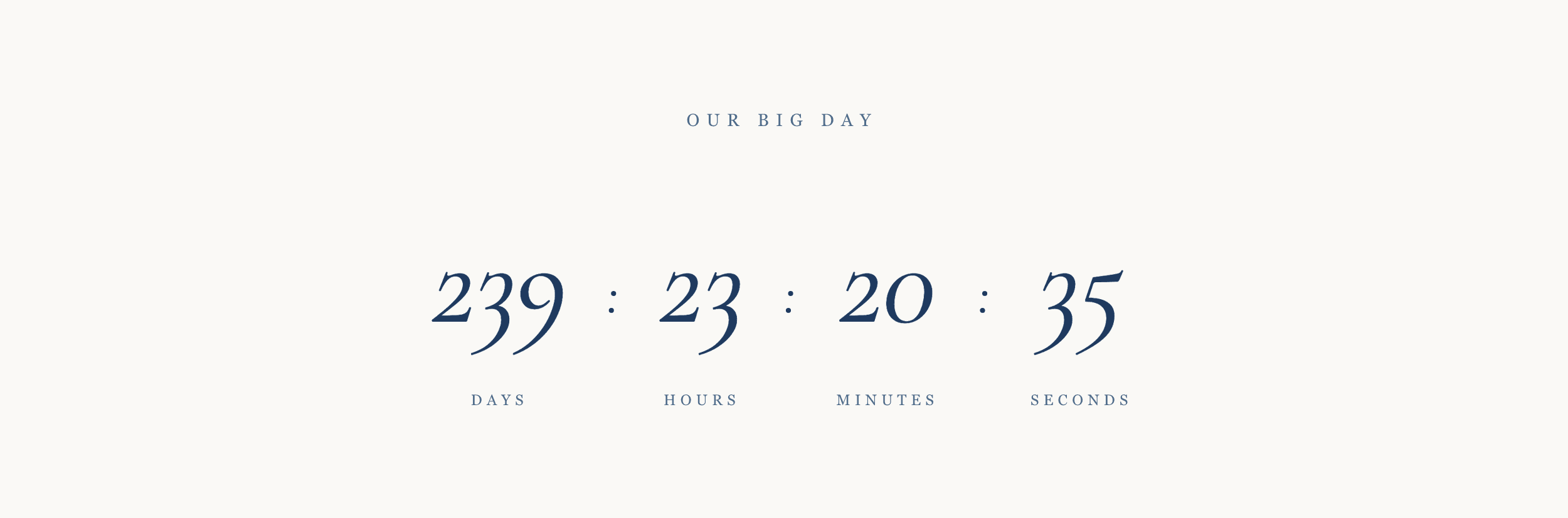 A wedding website countdown showing the days remaining until the big day